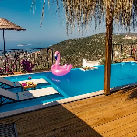 Mia House - Hill Vilă