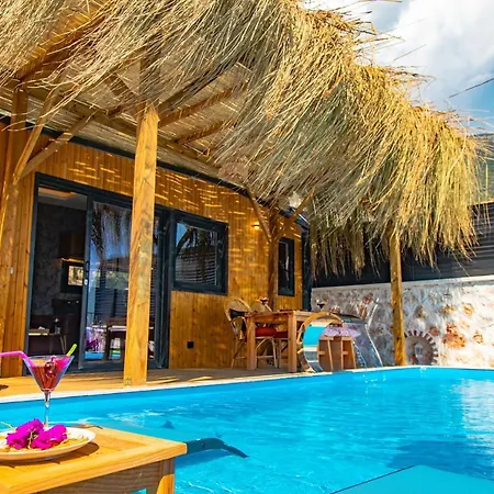 Mia House - Hill Villa